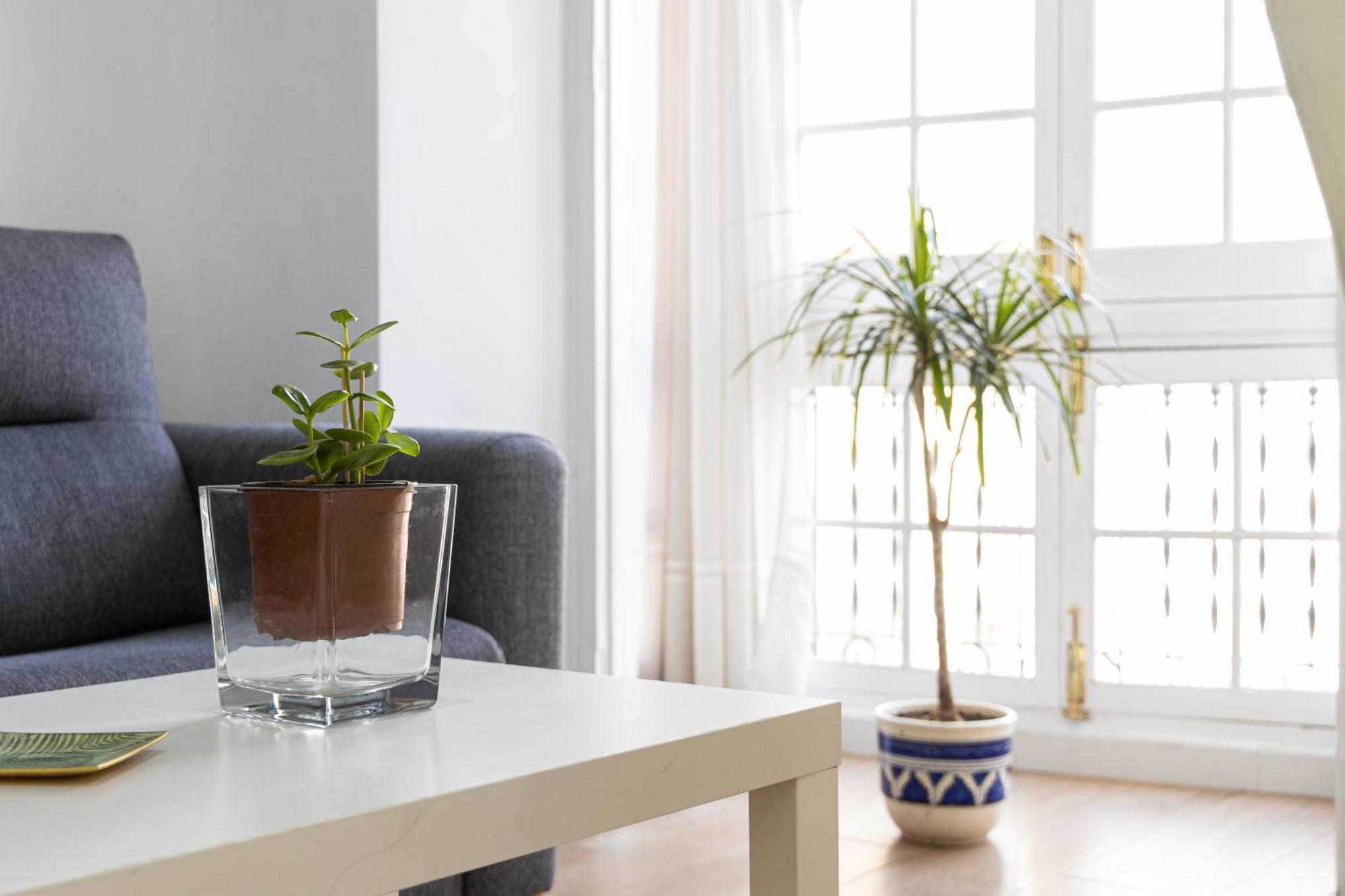 Apartamento Jacaranda Málaga Kültér fotó